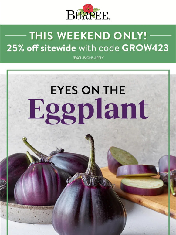 Burpee Gardening All about eggplant 🍆 Milled