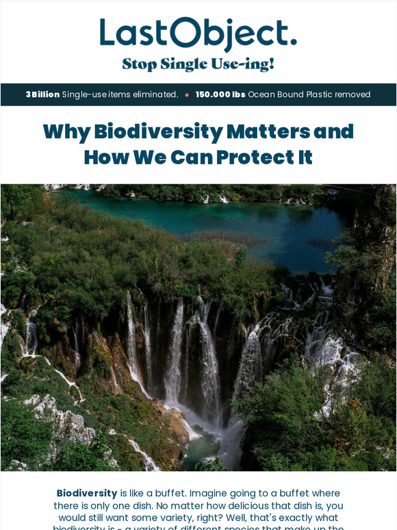 Why Biodiversity Matters and How We Can Protect It