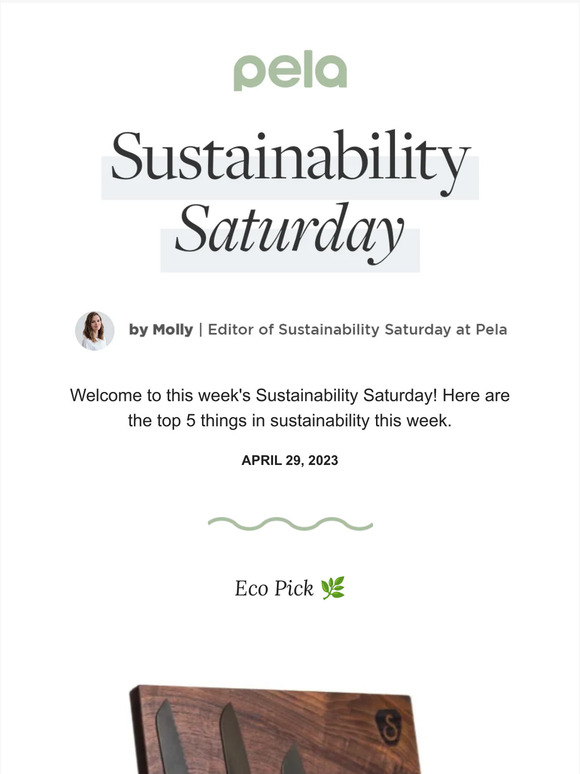 Sustainability Saturday | Local Workplace Hubs Cut Emissions by 90%