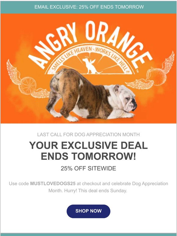 Dog Appreciation Month & your exclusive discount ends tomorrow