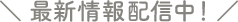 $B:G?7>pJsG[?.Cf!*(B