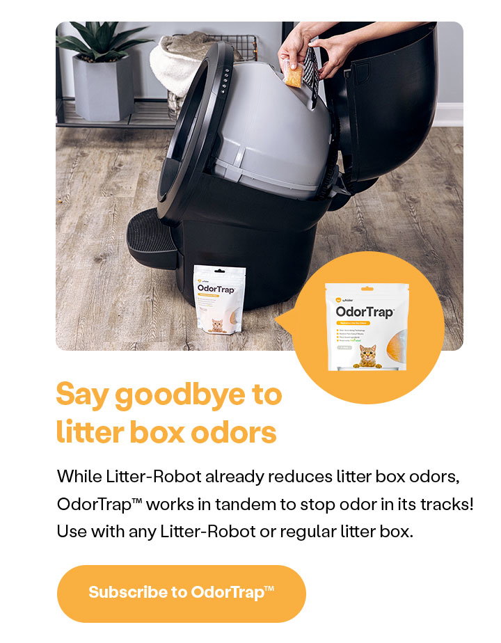 Say goodbye to litter box odors