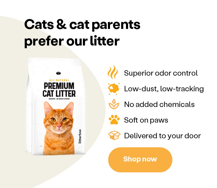 Cats & cat parents prefer our litter