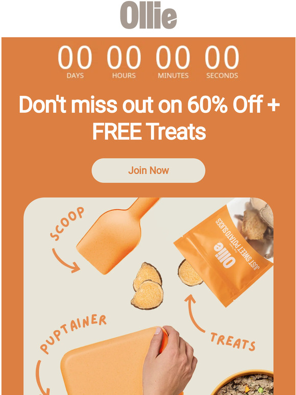 LAST DAY: 60% off + free treats