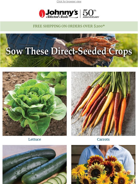There's Still Time to Sow These Crops!
