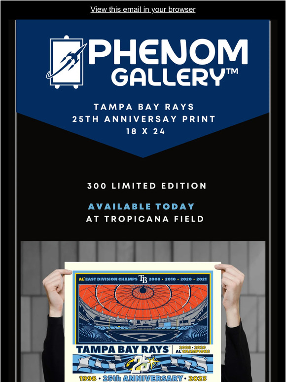 Tampa Bay Rays 25th Anniversary 18 x 24 Serigraph 