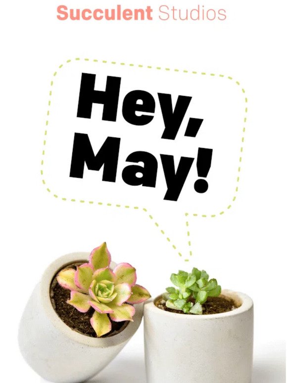 [75% OFF] 🌟 Oh, Hey May!