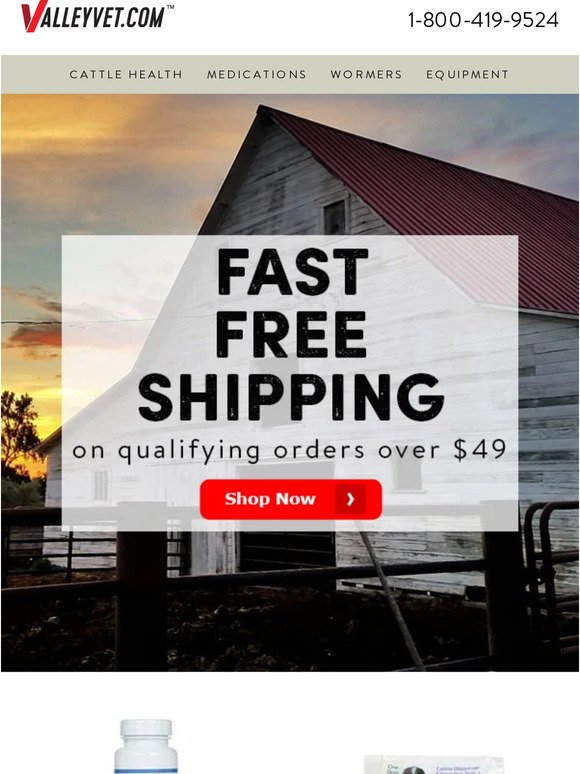 Free shipping for the win!