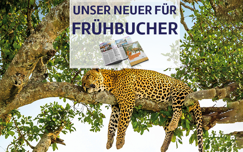 Unser Frühbucher-Katalog Winter 2023/2024