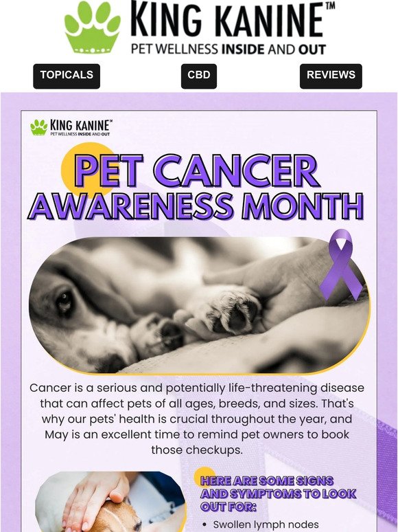 🐩🏥🐩 Pet Cancer Awareness Month 🐩🏥🐩