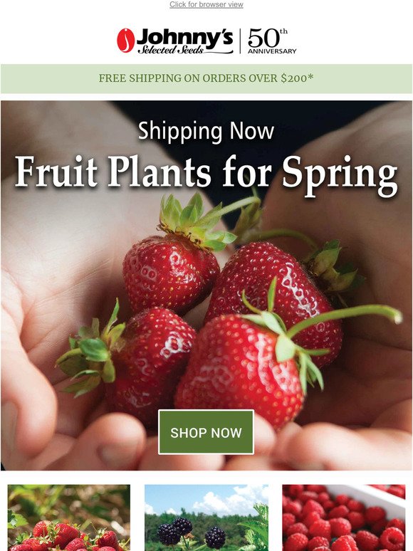 Last Chance to Order Fruit Plants!