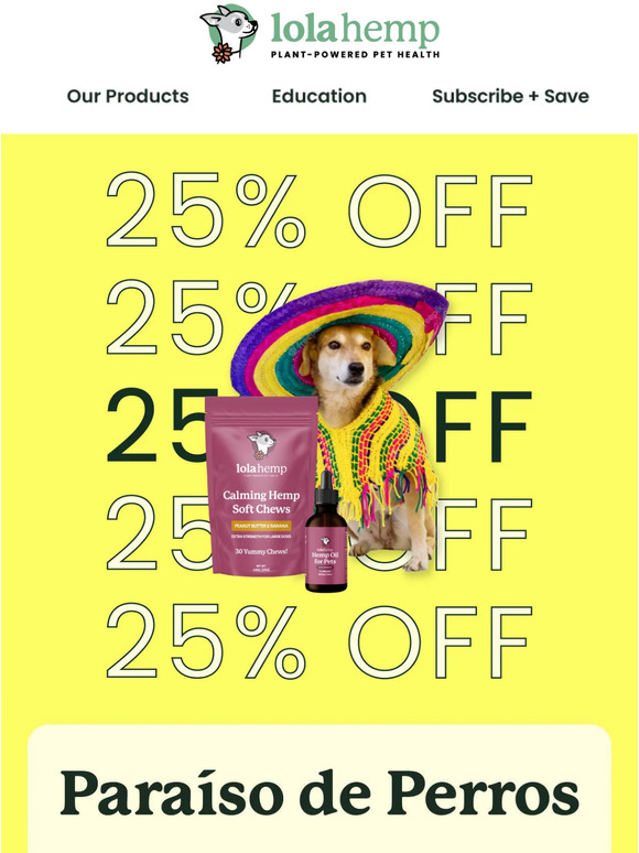 🌶 Cinco De Mayo Sale 🔥