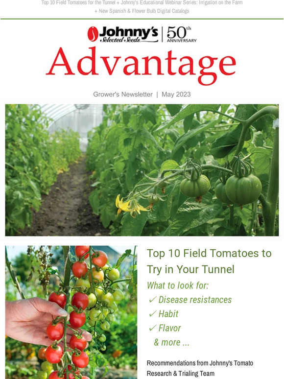 May Advantage | Top 10 Field Tomatoes to Try in Your Tunnel