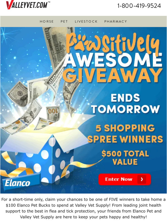 Pawsitively awesome prize, inside