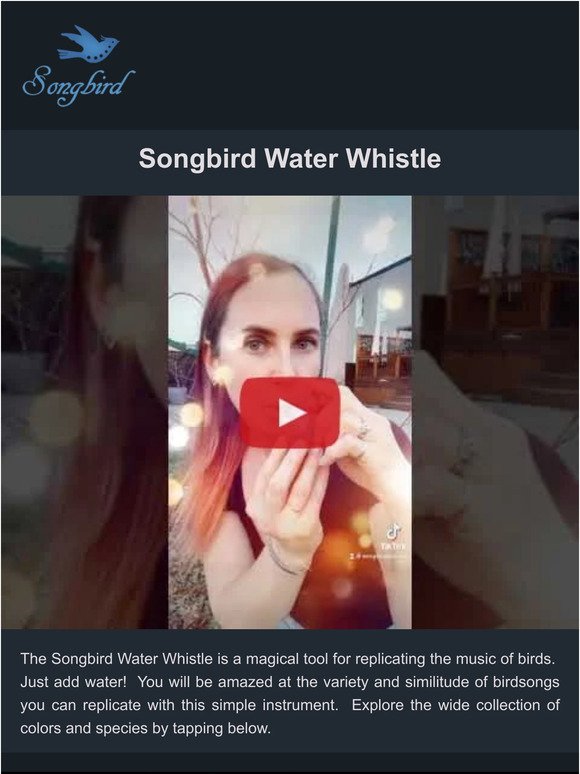 Songbird Water Whistle - Sing with the Birds!