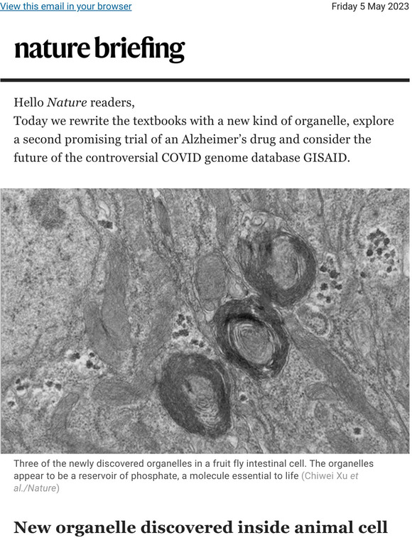 Nature Journal New organelle discovered inside animal cell Milled