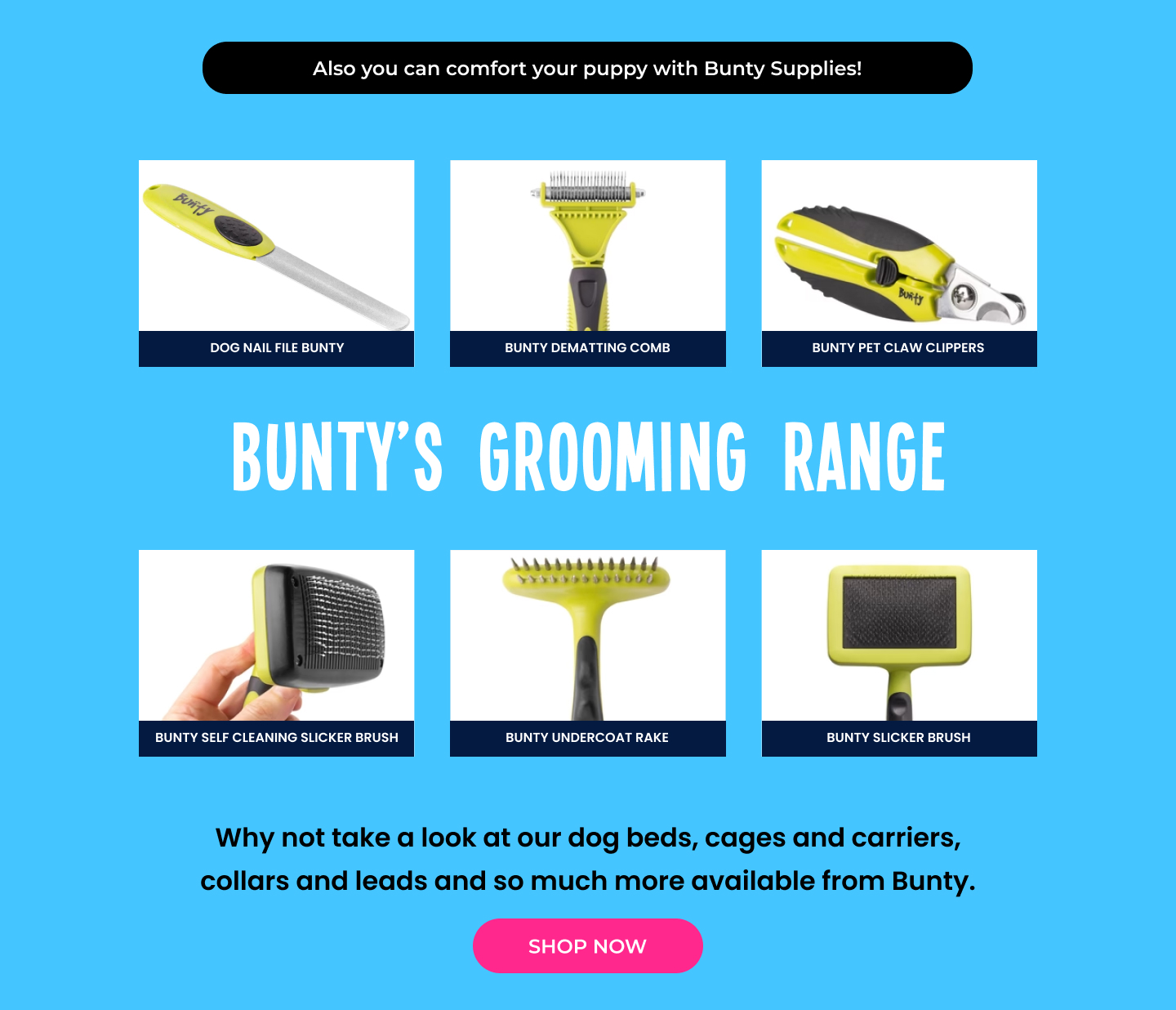Bunty Pet Products: Use these tips to handle your puppy 🐶 while you are ...