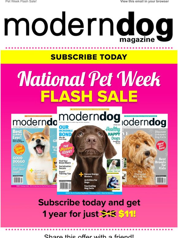 Puppy Gifs  Modern Dog magazine