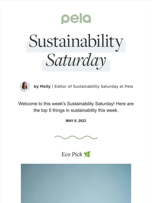 Sustainability Saturday | 9 Organic, Fair-trade Coffee Subscriptions to Start Your Day