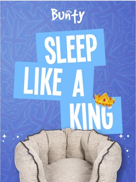 Sleep Like A King This Coronation 👑🐶