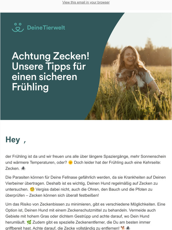 Unsere Tipps gegen die fiesen Parasiten 🕷️🐶