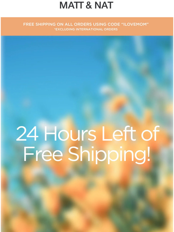 24 HOURS LEFT FOR FREE SHIPPING 😳