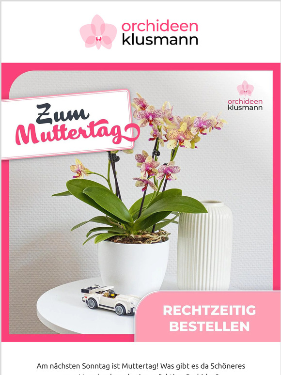 🌸 Muttertag steht vor der Tür
