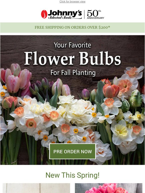 It’s Time to Pre Order Flower Bulbs!
