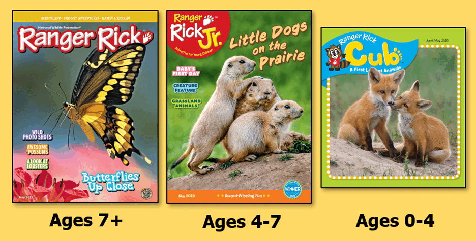 5 Covers