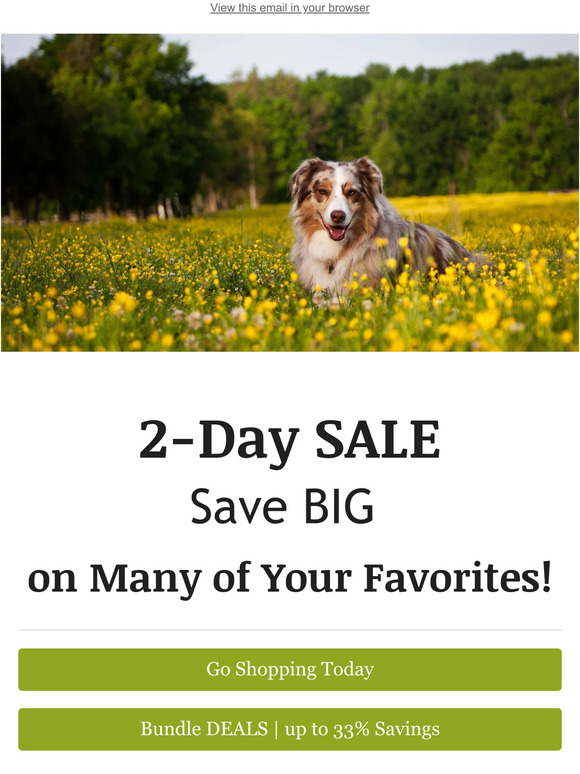 🔥 2-Day SALE