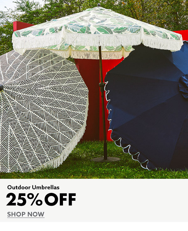 Big Lots COUPON EXTRA 25 OFF outdoor furniture & cushions, umbrellas