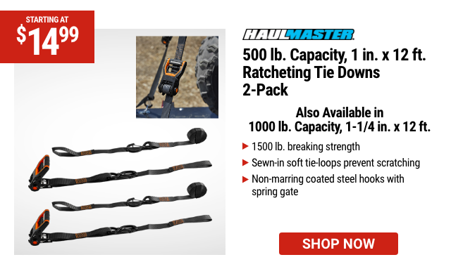 HAUL-MASTER: 500 lb. Capacity 1 in. x 12 ft. Ratcheting Tie Downs, 2 Pack