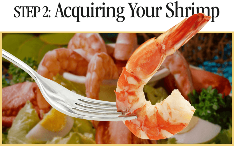 Vacation Inc A Guide To Shrimp Cocktail Etiquette 🍤 Milled