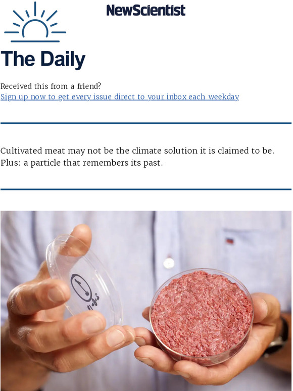 New Scientist Labgrown meat could be worse for the climate Milled
