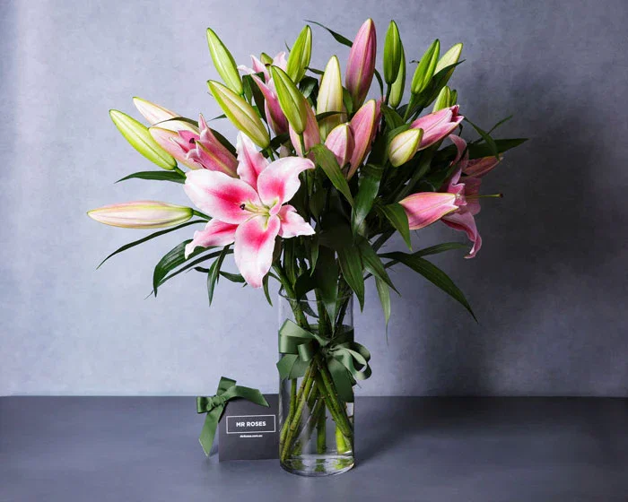 Image of Fragrant Pink Oriental Lilies