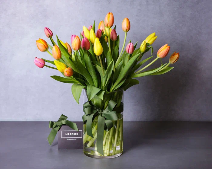 Image of Terrific Tulips