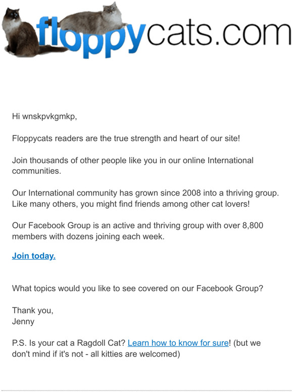 😻 Join the Floppycats Community