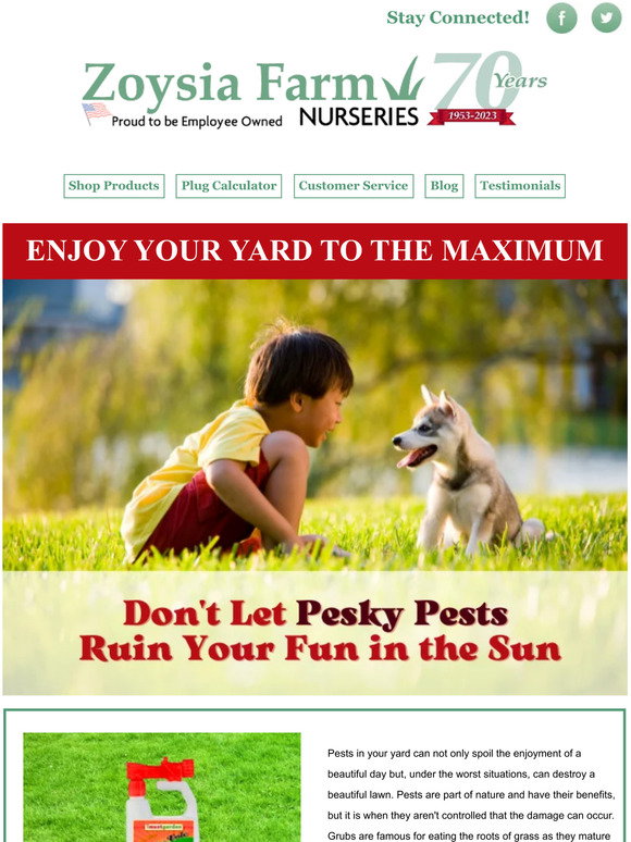 Zoysia Farms Rid Your Yard of Pests Today Milled