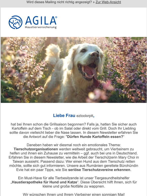 Die Haustierapotheke: Das gehört alles hinein!