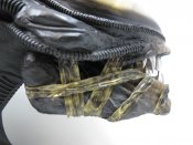 Alien 1979 Alien Big Chap Head Life-Size Prop Replica by Hollywood Collector's Gallery H.R. Giger