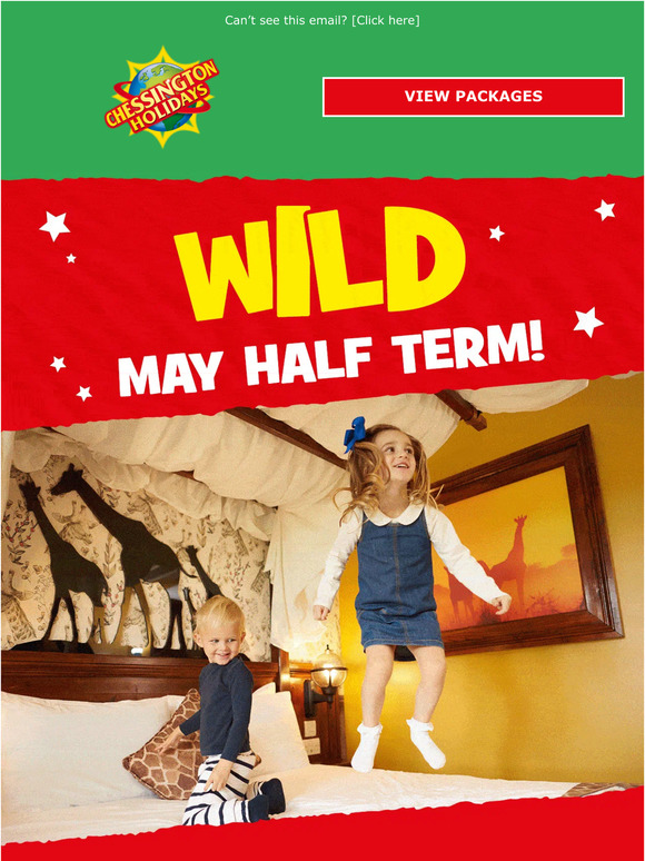 🎉 + 💃 + 🐵 + 🐍 = May!