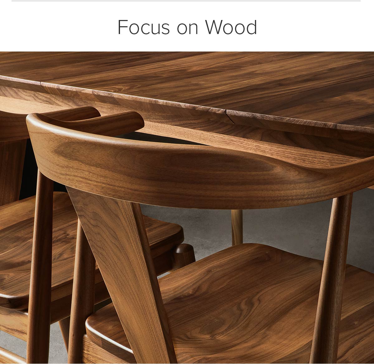 Focus on Wood