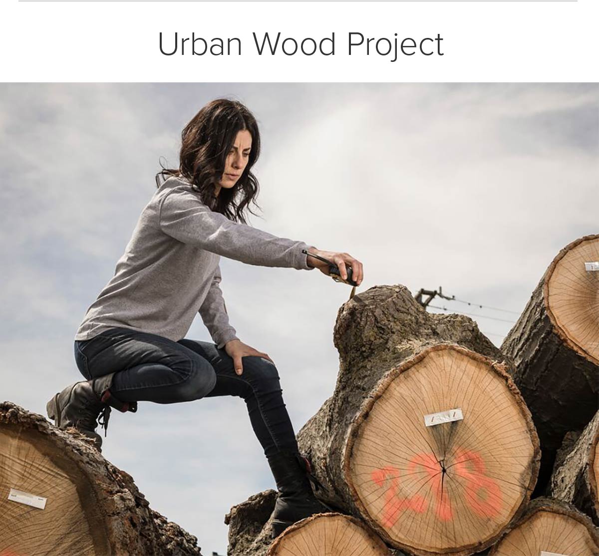 Urban Wood Project