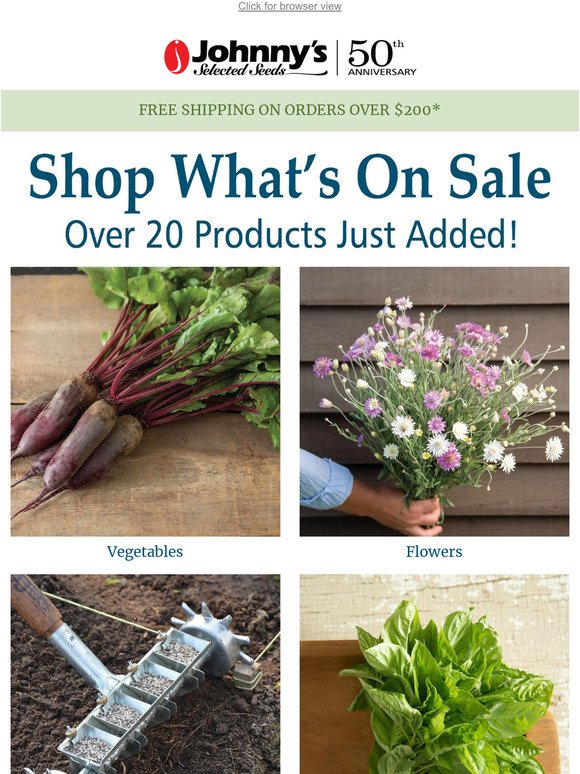 SALE: More Products on Overstock!