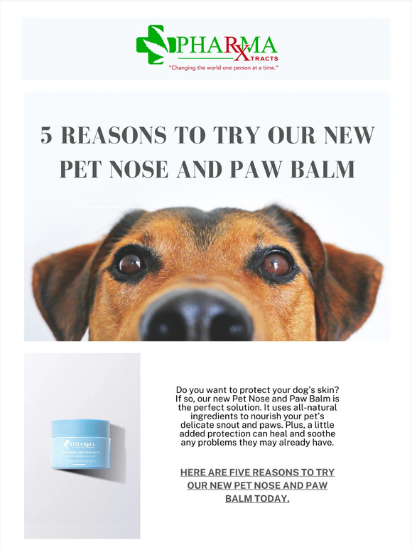 5 Reasons to Try Our New Pet Nose and Paw Balm