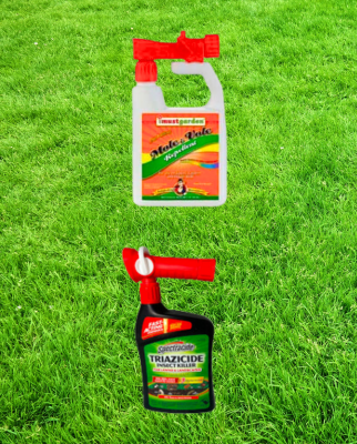 Zoysia Farm Nurseries: Take Action! Rid Your Lawn of Pesky Pests | Milled