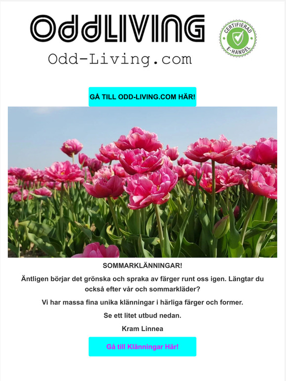 Sommarklänningar!
