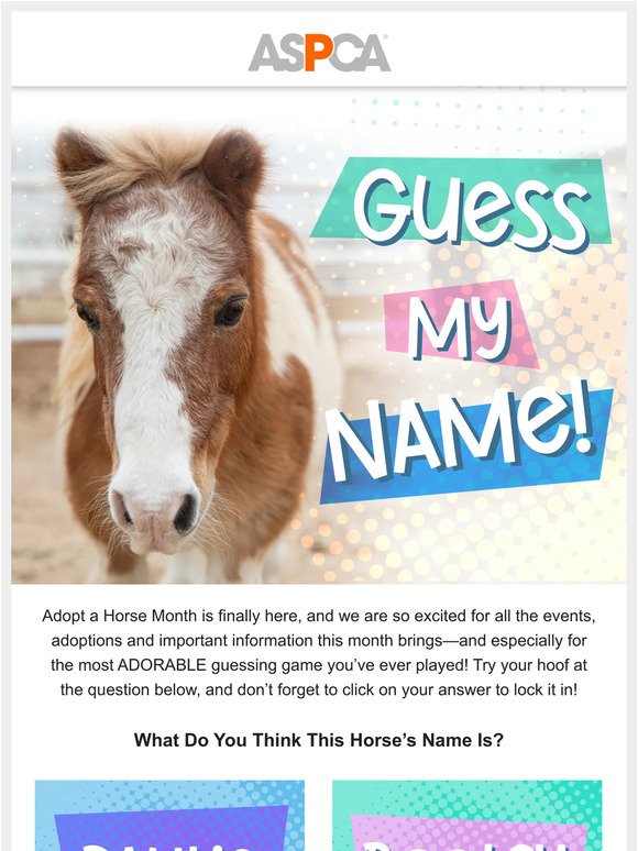 What’s This Horse’s Name? (VOTE)