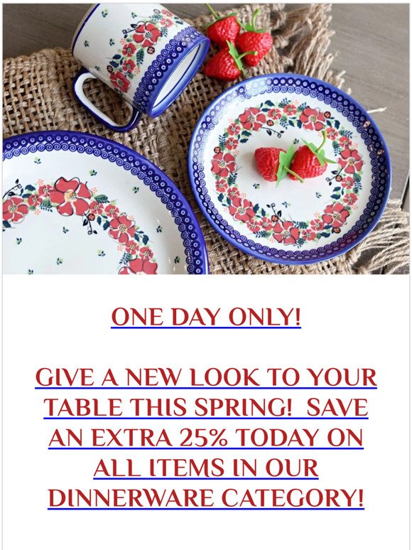 GIVE A NEW LOOK TO  YOUR TABLE  - SAVE AN EXTRA 25% ON DINNERWARE TODAY!