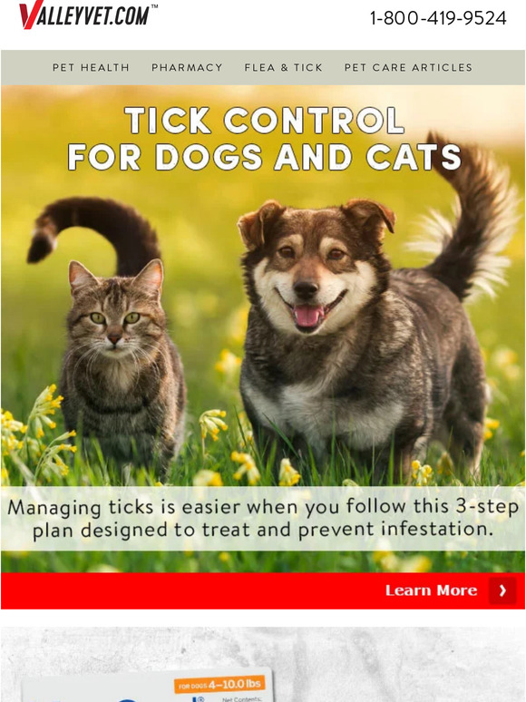 3-step Plan to Rid Fleas & Ticks